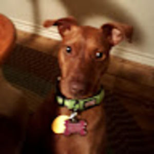 Meet your Posher, Diane